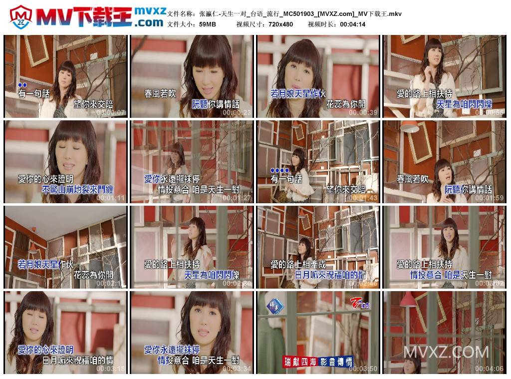 张瀛仁-天生一对_台语_流行_MC501903